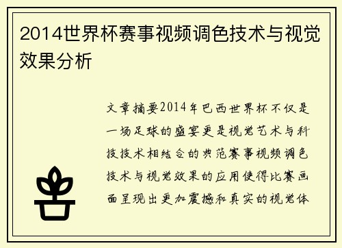 2014世界杯赛事视频调色技术与视觉效果分析